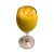 IMG-20250831-WA0312